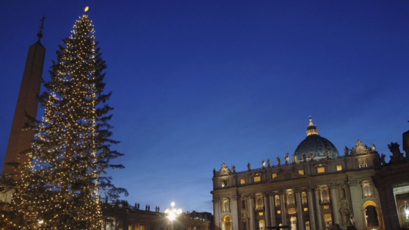 Запалиха светлините на коледната елха във Ватикана