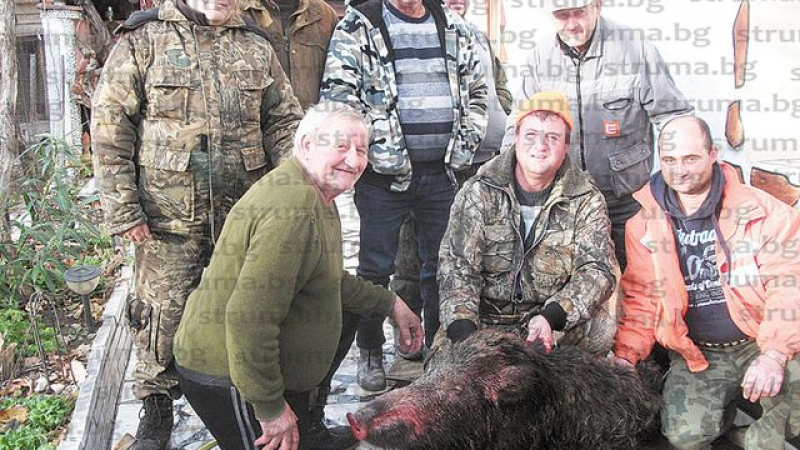 Ловна дружинка от Кресна счупи каръка със 110-килограмов звяр (СНИМКИ)