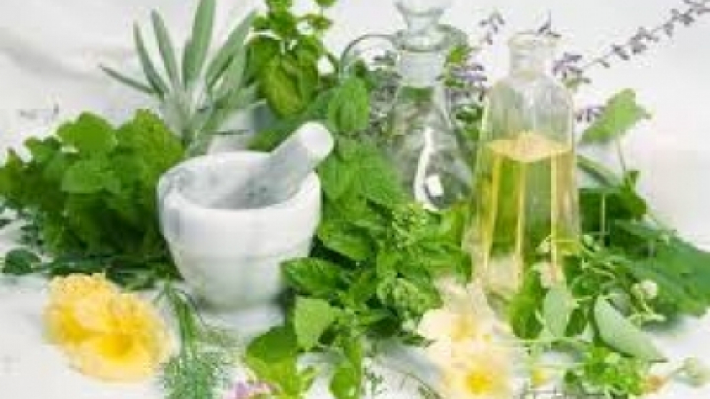 Екатерина Чамурлийска разкрива тайните на хомеопатичните лекарства