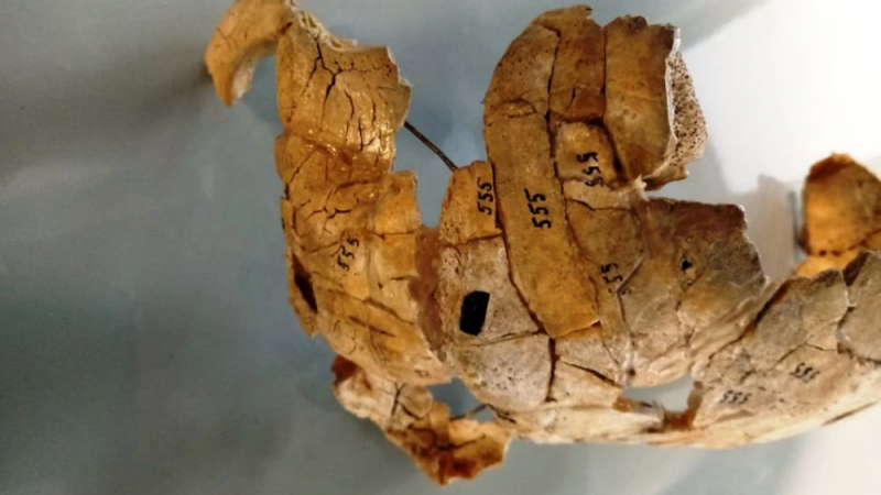 Разкриха убийство с давност 8000 години, археолозите са в шок
