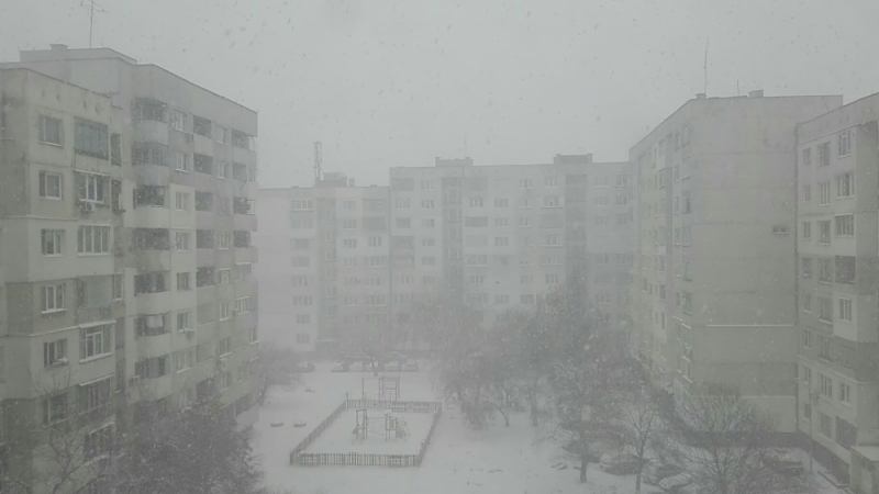 Снежен апокалипсис! Времето в столицата се разфуча (СНИМКИ)