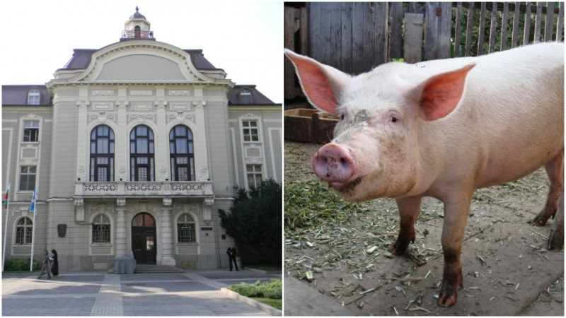 Кметът на Пловдив кани всички „на прасе“ пред Общината