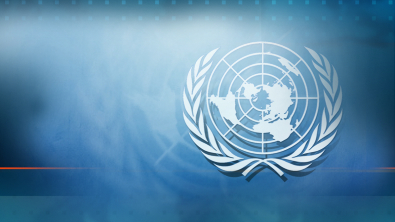 Съветът за сигурност реши да изпрати наблюдатели на ООН в Йемен