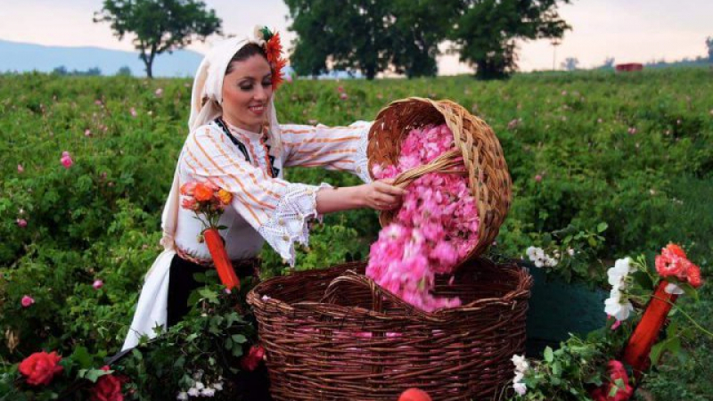 Френски учени направиха епохално откритие, което засяга 90% от жените! А българките са най-облагодетелствани (СНИМКИ)