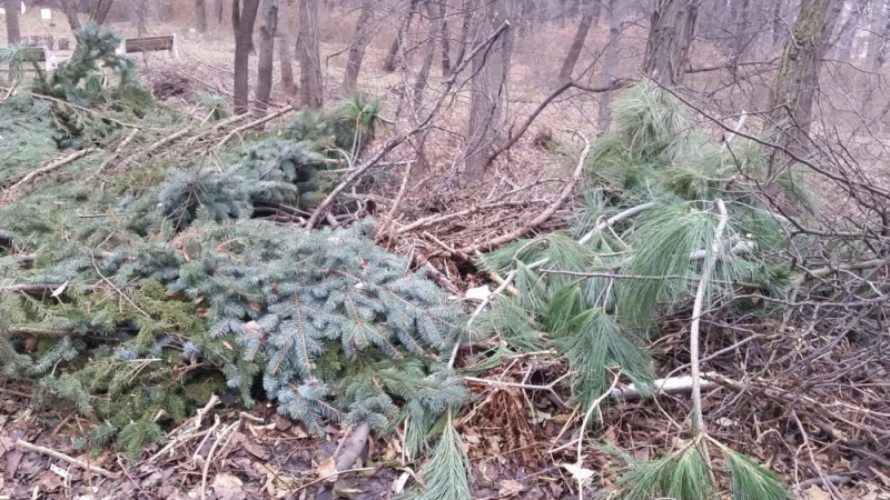 Бракониери продължават да безчинстват в гората на "Княжево" (СНИМКИ)