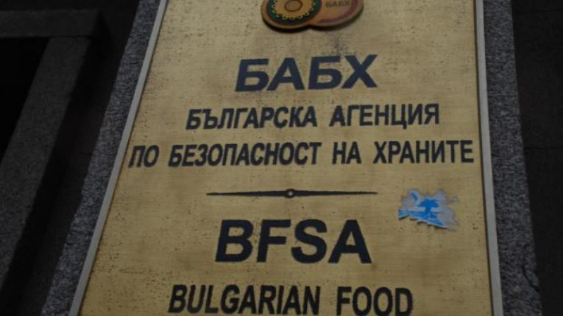 2000 лв. глоба за балдъзата на важен общинар в Сапарева баня, ето какво е извършила