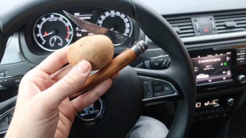 Защо всеки шофьор трябва да има по 1 картоф в колата (СНИМКИ/ВИДЕО)