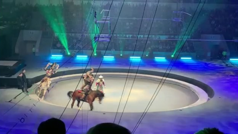 Цирков акробат падна от кон по време на представление (ВИДЕО)