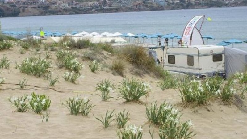 Министерството на туризма ще направи проверка на плажа при къмпинг "Смокиня"