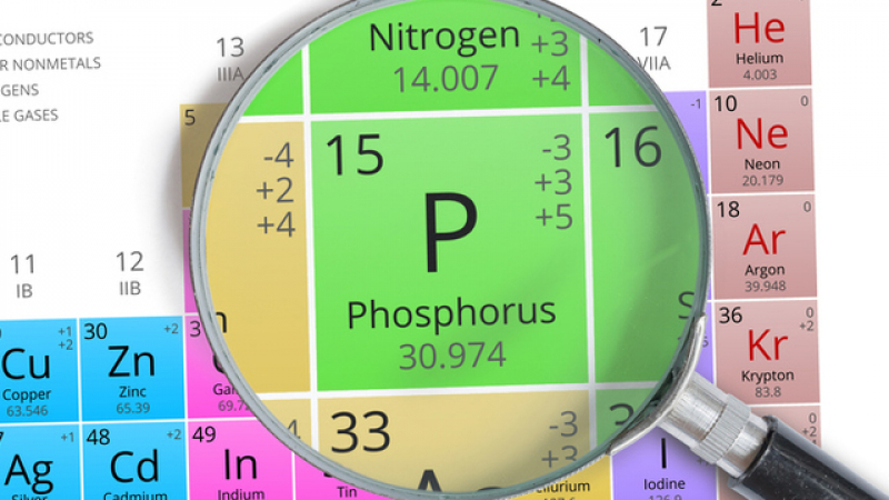 Запасите от фосфор свършват и защо това е опасно