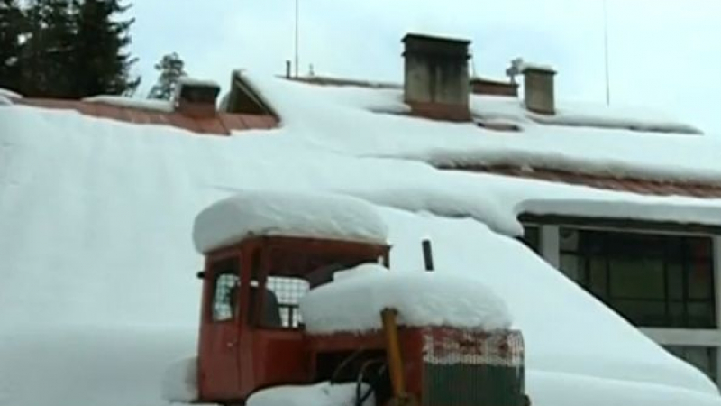 Огромен кошмар за 40 деца в Родопите! (ВИДЕО)