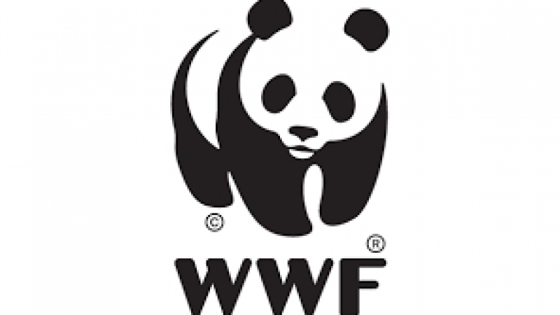 Швейцарската частна неправителствена организация Световен фонд за дивата природа (WWF) с намеса във вътрешните работи на България