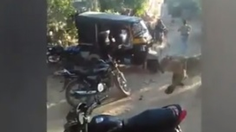 Страховито ВИДЕО: Лъв тича по улица и напада хора