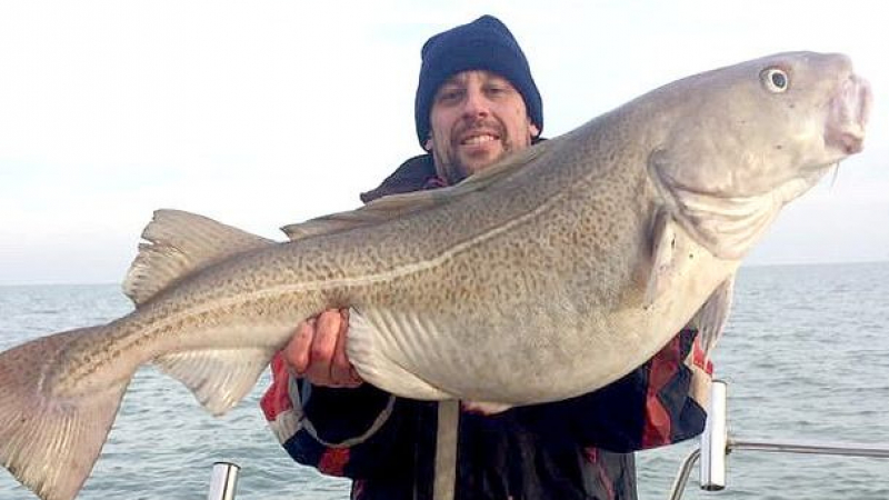 Рибар извади огромна риба от Ламанша (СНИМКИ)