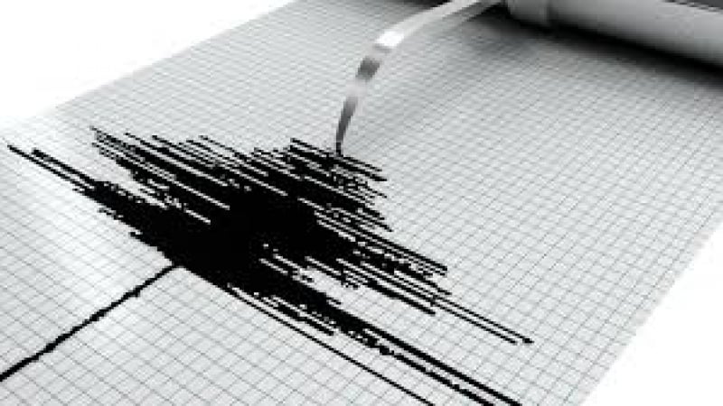 Мощно земетресение удари Папуа Нова Гвинея 