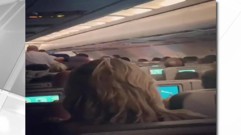 Жена роди дете на борда на самолет (ВИДЕО)