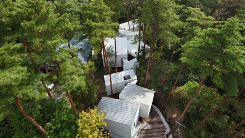 Само те го могат: Японци построиха къща насред гора без да отсекат нито едно дърво (СНИМКИ)