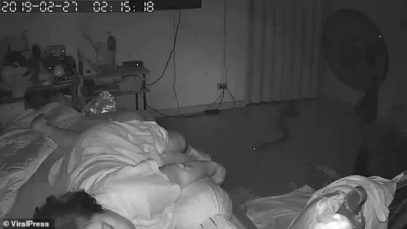 Питон се промъкна в стаята на възрастна тайландка и я нападна, докато спи (СНИМКИ/ВИДЕО)