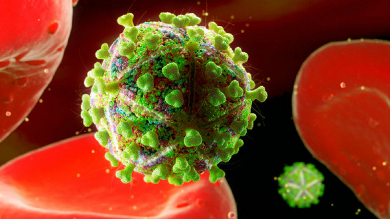 За втори път в историята: Човек се излекува напълно от ХИВ