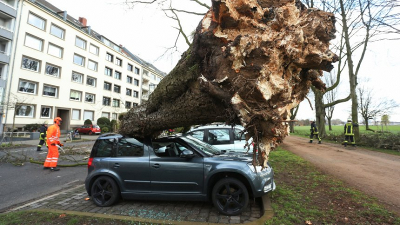 Ураган вилнее в Германия, отнася дървета и покриви на къщи, спират движението на влакове (СНИМКИ/ВИДЕО)