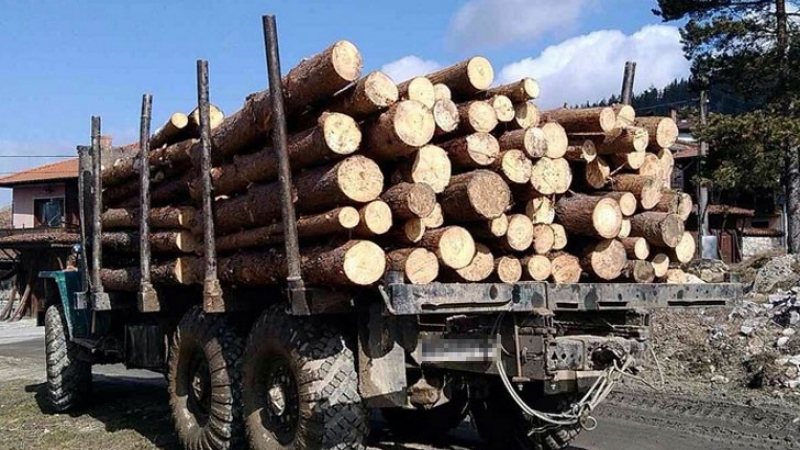 Резил: Бизнесмени от Карловско и работниците им дружно задигнали камион от Стамболийски