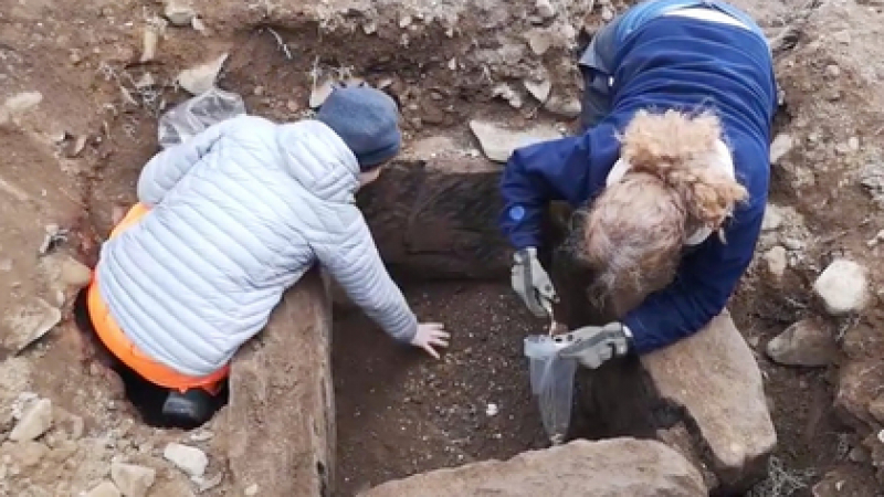 Откриха iPhone от бронзовата епоха в древна гробница