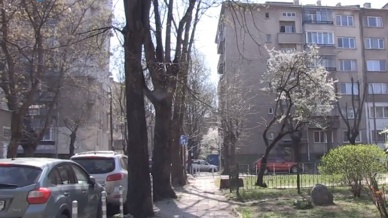 БЛИЦ TV: Странна творба край "Пирогов" озадачава столичани 