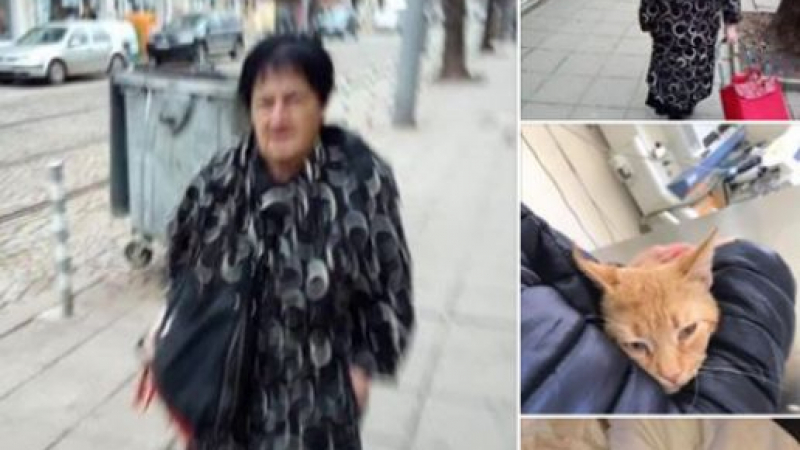 Само в БЛИЦ: Тази жена прави нещо ужасно в София! Познавате ли я? (СНИМКИ)