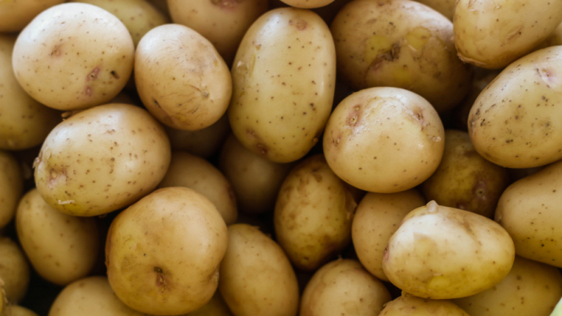 Хранителни вериги продават немски картофи като български 
