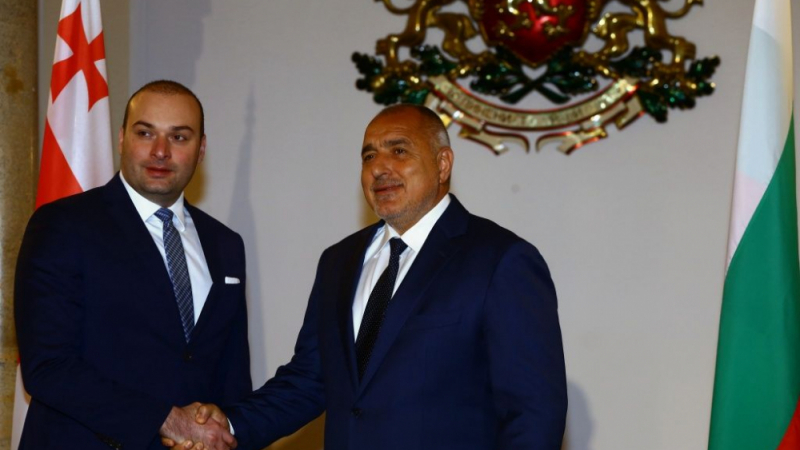 Фоторепортаж в БЛИЦ: Борисов посрещна грузинския си колега в Министерски съвет 