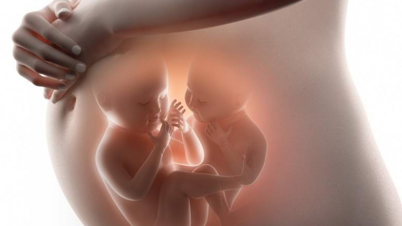 Близнаци заснети как се бият в утробата на майка си (ВИДЕО)