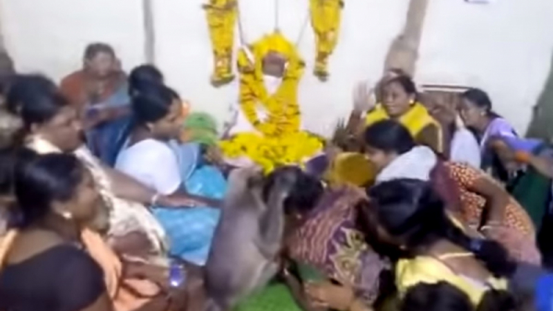 Вижте как маймуна успокоява на погребение роднините на починалия (ВИДЕО)