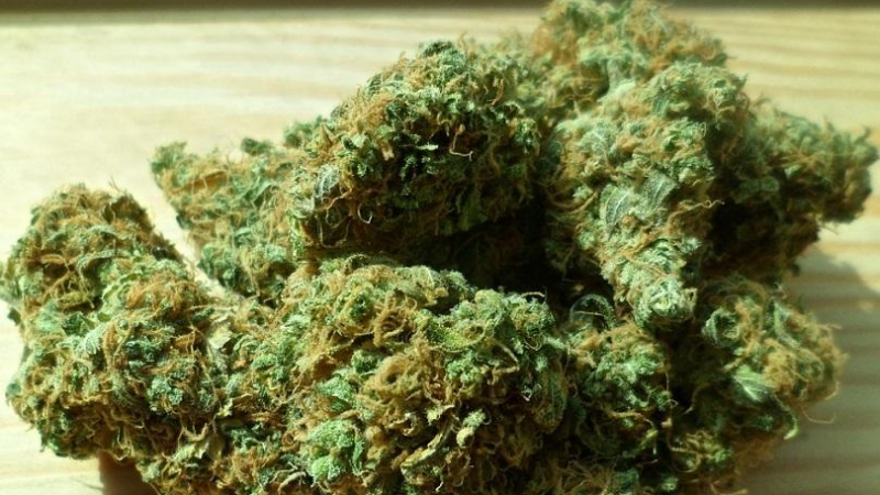 Албанската полиция задържа 204 кг марихуана