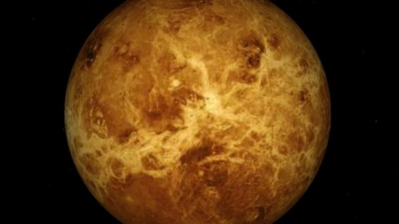 Там някой се движи. На Венера откриха 18 живи същества (СНИМКИ)