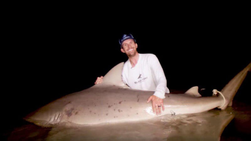 Зрелищно ВИДЕО: Рибари извадиха 181-килограмов звяр от река и онемяха! 