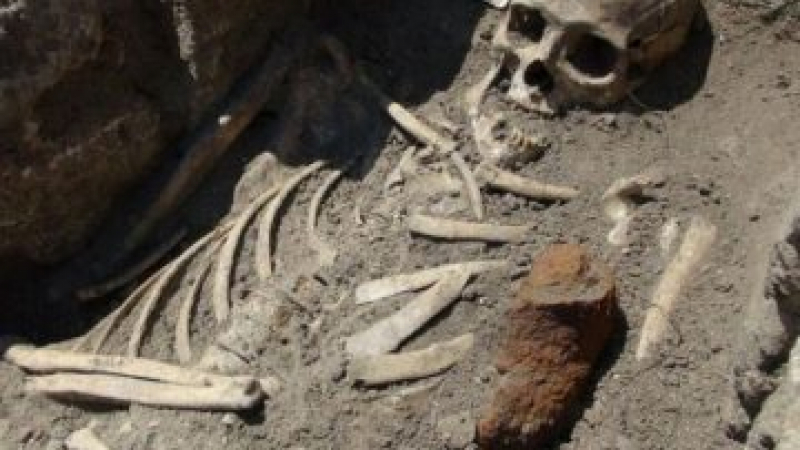 Палеонтолози с невероятна находка на 300 000 години в Китай