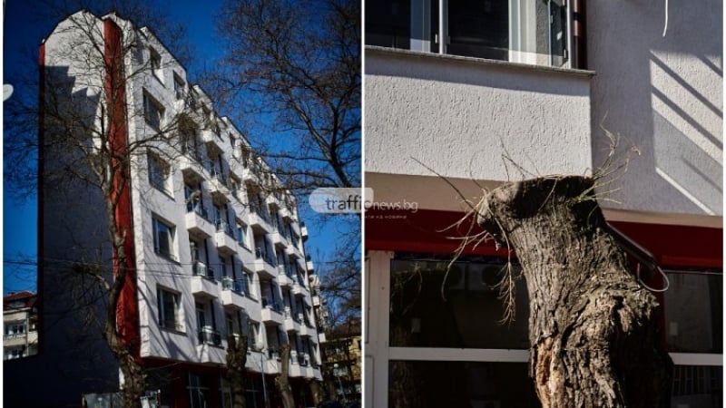 Невиждан досега в България  блок изникна в Пловдив! (СНИМКИ)