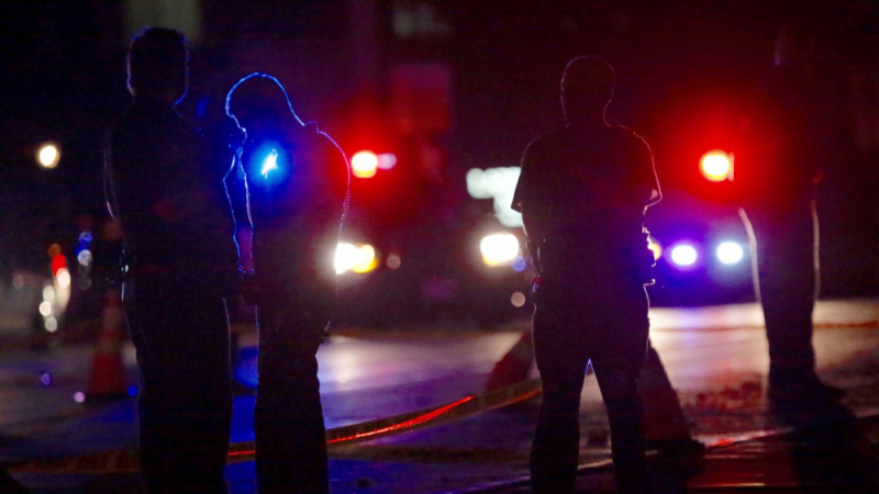 11 души загинаха при стрелба в американски град