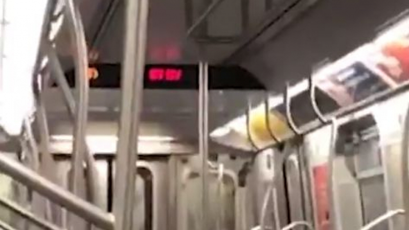 За първи път се появи такова животно в метрото в Ню Йорк (ВИДЕО)