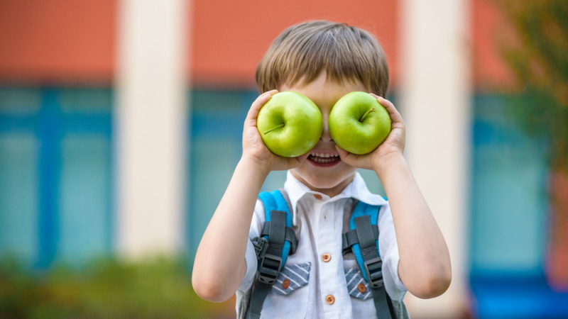 Половината от плодовете за децата в училище – български