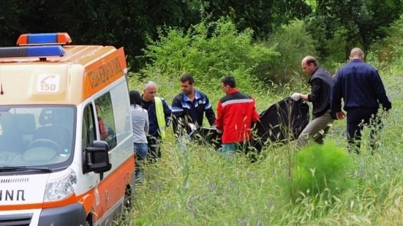 Полицията издирва шофьор убиец от Русе под дърво и камък 
