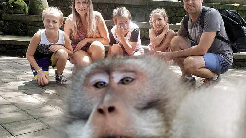 Маймуна показва среден пръст на снимащи я туристи (УНИКАЛНА СНИМКА)
