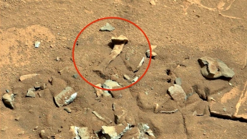 Сензация на Марс! Откриха кост на животно или дори на марсианец (ВИДЕО)