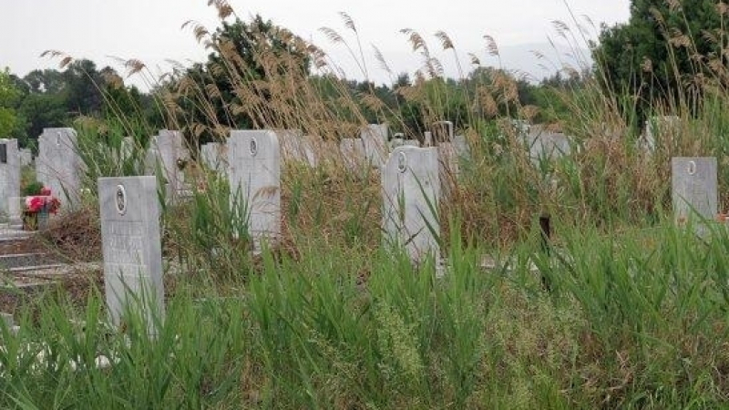 Зловещо! Кървава вода бликна до гробище край Видин