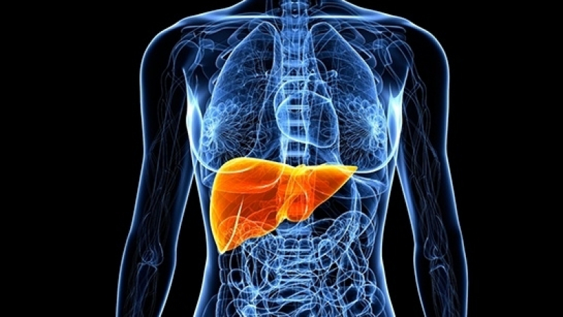 Как да разберете, че черният ви дроб е пълен с токсини