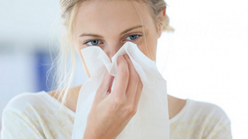 Най-добрите народни средства за борба с алергията