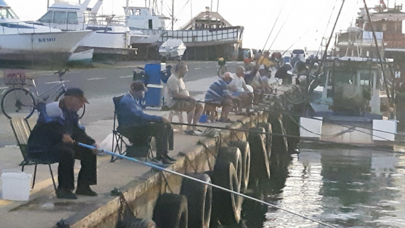 Рибари от Варна: Това е феномен! В Черно море уловихме...
