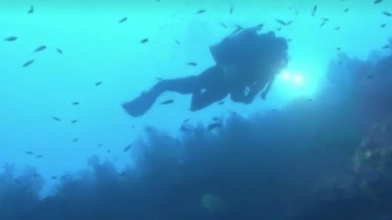 Учени ще прекарат в капсула на дъното на Средиземно море почти месец! (ВИДЕО)