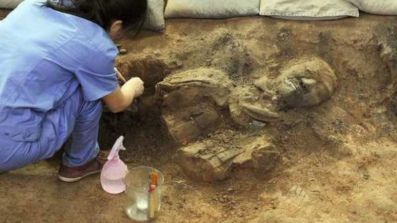 Проклятие в китайска гробница убива археолози, както тази на Тутанкамон навремето (ВИДЕО)