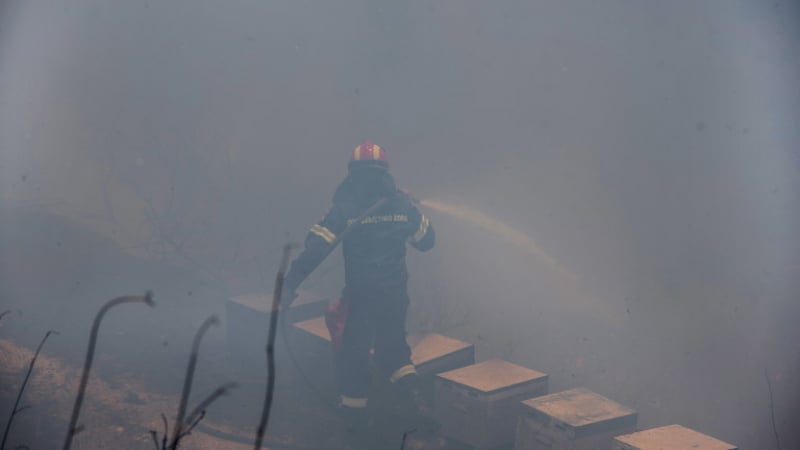Пожарникари от цяла Гърция се борят с пожара на о. Евбея